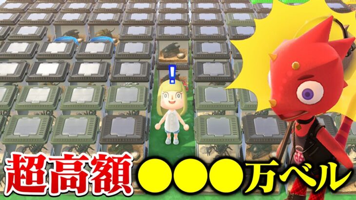 【あつ森】まさかの超高額！夏のレア虫を大量にレックスに売ってみたらすごい金額になった【あつまれどうぶつの森 るいぼす島編】