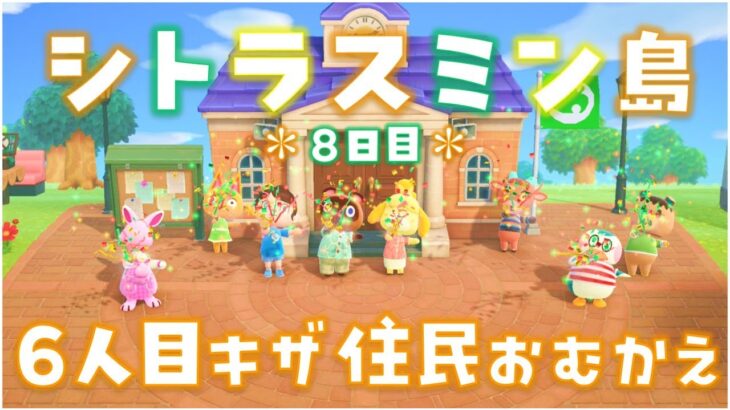 【あつ森】キャンプサイトに来たキザ住民をおむかえ！シトラスミン島＊8日目＊【生放送】