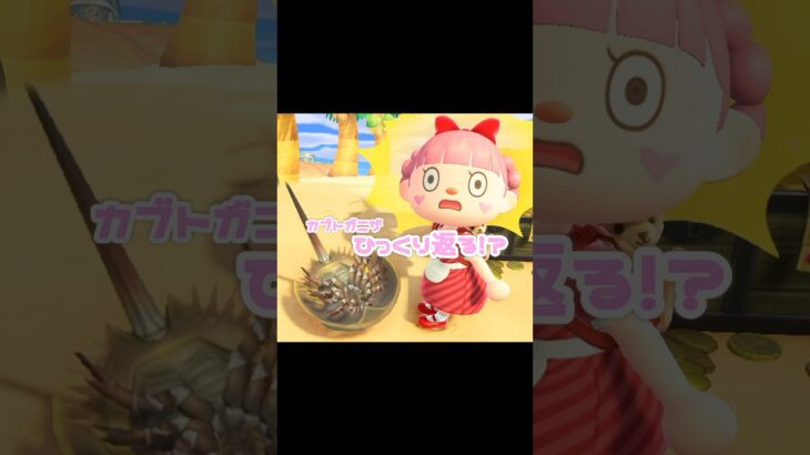 飾ってもそのまま、触れるとビックリな生き物…？！？！#あつ森 #どうぶつの森 #あつまれどうぶつの森 #どう森 #マリオカート #shorts #short #あつ森海の幸#あつ森　カブトガニ