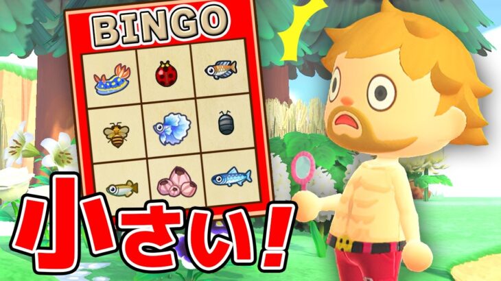 【あつまれ どうぶつの森】超小さな生物だらけのビンゴ対決！！
