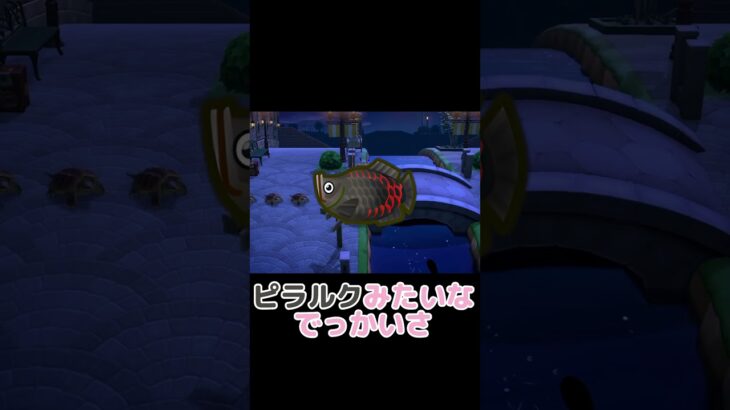 噂をすれば現れるゲーミング魚【あつ森】