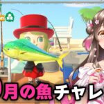 【あつ森】撒き餌200個で10月の魚をコンプできるか？！10月の魚釣りチャレンジ！【あつまれどうぶつの森 ライブ】