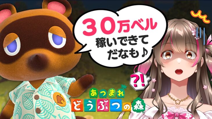【あつ森】自分の島で採れるもの限定！30万ベル稼げるまで終われません【あつまれどうぶつの森 ライブ】