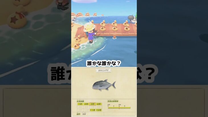 【あつ森】≪釣り5000匹≫楽しい楽しい桟橋釣り　　　　　　　　　　　　　　 #あつ森 #ゆっくり実況