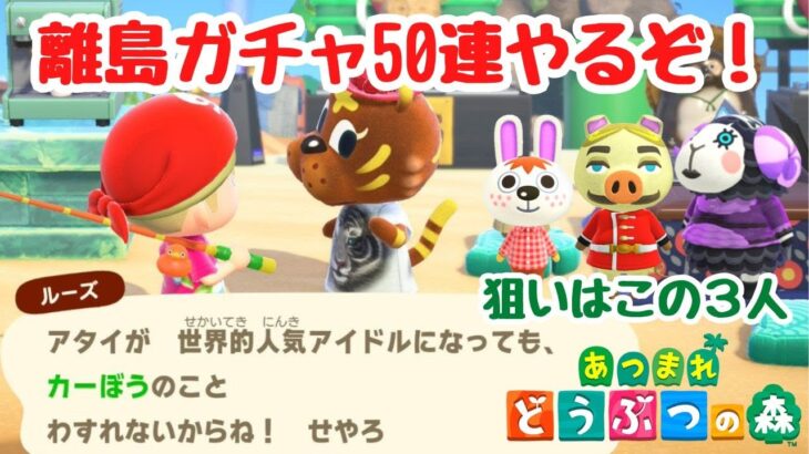 【あつ森 離島ガチャ】ペチカ、トンファン、フリルを求めて離島ガチャ50連！【ACNH】【あつまれどうぶつの森】【ライブ配信】