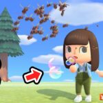 【あつ森】シャボン玉ぶつけたらハチ倒せるんじゃない？【あつまれどうぶつの森】