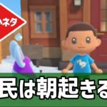 住民は朝起きると【あつ森小ネタ】