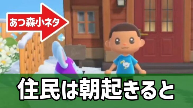 住民は朝起きると【あつ森小ネタ】