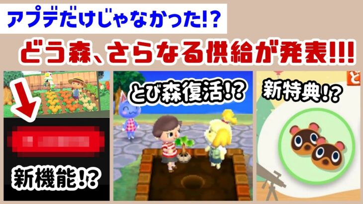 アプデだけじゃなかった！？どう森、さらなる新供給が発表！！あつ森＆とび森に関する新展開をまとめてみた！【あつまれ どうぶつの森】@レウンGameTV