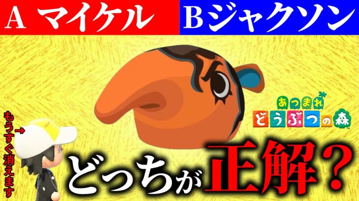 あつ森の離島ガチャで「格付けチェック」やってみたら面白すぎた２
